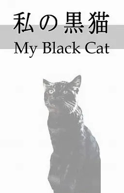 My Black Cat
