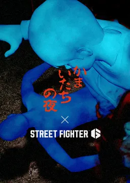 Street Fighter's Last Cry