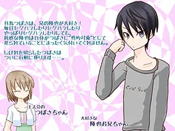 Onii-chan ga Sukisugiru!!