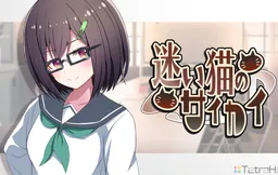 Mayoi Neko no Saikai