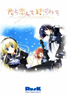 Kimi to Koi Shite Musubarete