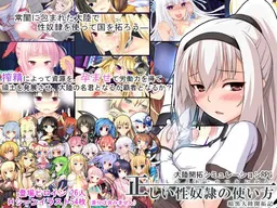 Tadashii Seidorei no Tsukurikata - Ankoku Tairiku Kaitakuki