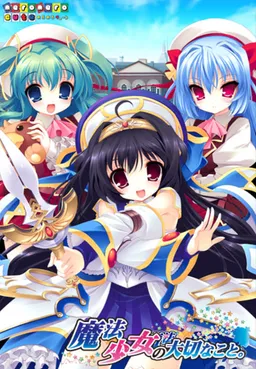 Mahou Shoujo no Taisetsu na Koto.