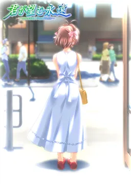 Kimi ga Nozomu Eien ~Special Fan Disc~