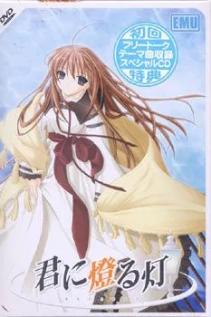 Kimi ni Tomoru Hi